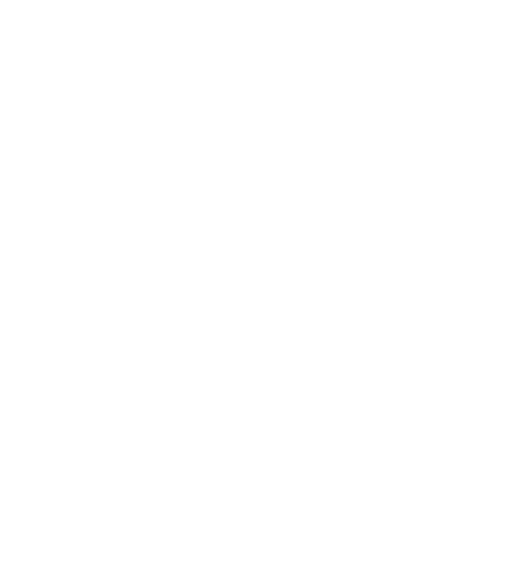 Vertex Healthcare Logo